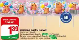Dino Lizaki na pasku Karwit oferta