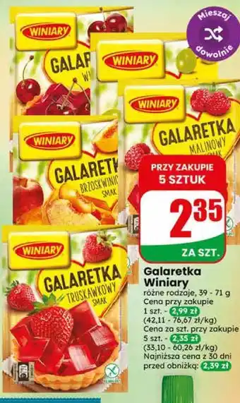 Dino Galaretka Winiary oferta