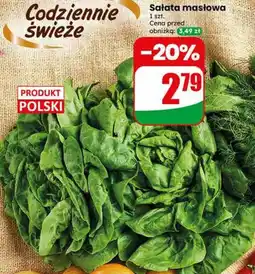 Dino Sałata masłowa oferta