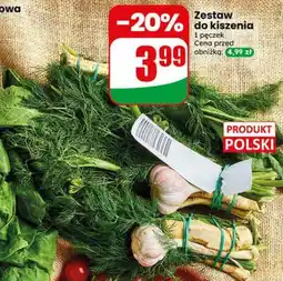 Dino Zestaw do kiszenia oferta
