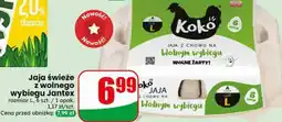 Dino Jaja świeże z wolnego wybiegu Jantex oferta