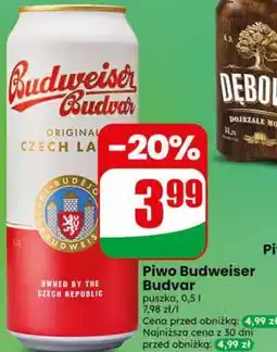 Dino Piwo Budweiser Budvar oferta