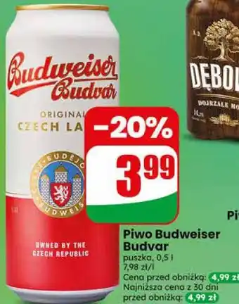 Dino Piwo Budweiser Budvar oferta