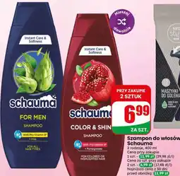 Dino Szampon do włosów Schauma oferta