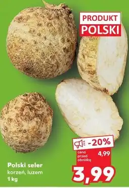 Kaufland Polski seler korzeń, luzem oferta