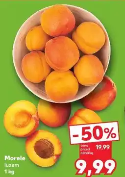 Kaufland Morele luzem oferta