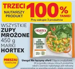 Kaufland Zupy mrożone Hortex oferta