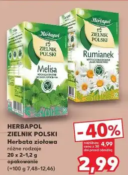 Kaufland HERBAPOL ZIELNIK POLSKI Herbata ziołowa oferta