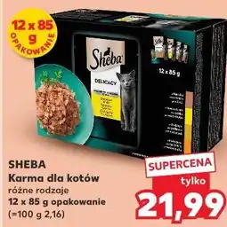 Kaufland Karma dla kotów różne rodzaje 12 x 85 g opakowanie oferta