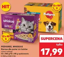 Kaufland Karma dla psów lub kotów różne rodzaje oferta
