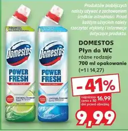 Kaufland Płyn do WC różne rodzaje oferta