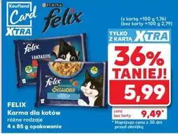 Kaufland FELIX Karma dla kotów oferta