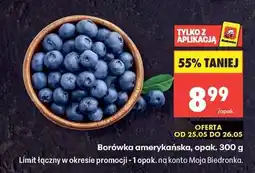 Biedronka Borówka amerykańska opak 300 g oferta