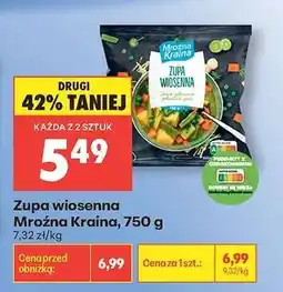 Biedronka Zupa wiosenna Mroźna Kraina, 750 g oferta
