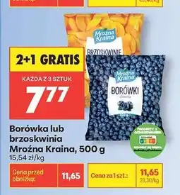Biedronka Borówka lub brzoskwinia Mroźna Kraina, 500 g oferta