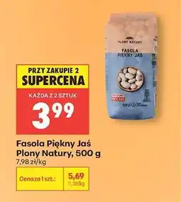 Biedronka Fasola Piękny Jas Plony Natury 500 g oferta