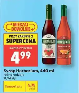 Biedronka Syrop Herbarium 440 ml oferta