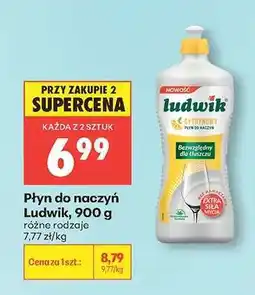 Biedronka Płyn do naczyń Ludwik 900 g oferta