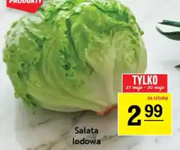 Gram Market Sałata lodowa oferta