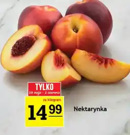 Gram Market Nektarynka oferta