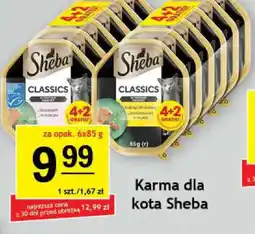 Gram Market Sheba Karma dla kota Classics oferta