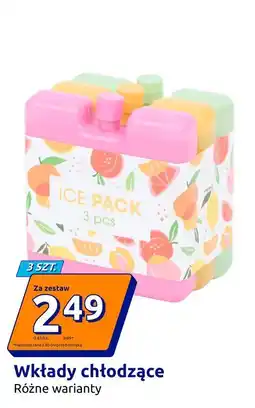Action Wkłady chłodzące oferta