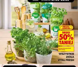 Biedronka Wszystkie zioła Vital Fresh oferta