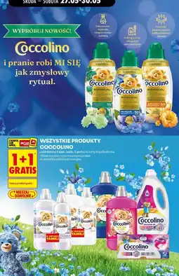 Biedronka Wszystkie produkty Coccolino oferta