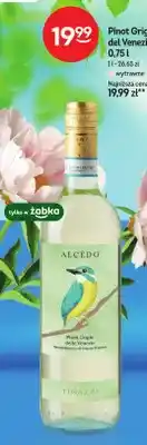 Żabka Wino Pinot Grigio del Venezie wytrawne oferta