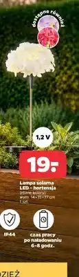 Lampa solarna LED hortensja IP44 1,2V wym. 14x15x77cm