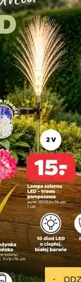 Netto Lampa solarna LED trawa pampasowa IP44 2V 10 diod LED wym. 10x6,5x74cm oferta