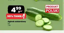 Netto Ogórek szklarniowy polski oferta