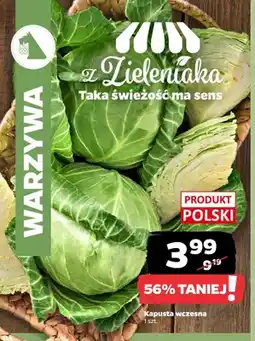 Netto Kapusta wczesna polska oferta