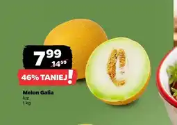 Netto Melon Galia luz oferta