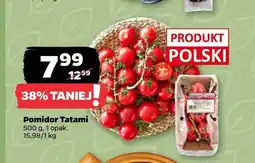 Netto Pomidor Tatami polski oferta