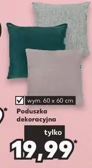 Biedronka Poduszka dekoracyjna 60 x 60 cm 1 SZT oferta