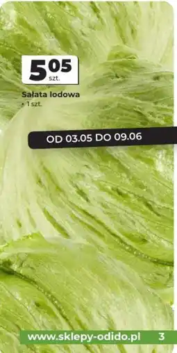 Odido Sałata lodowa oferta