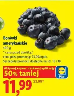 Lidl Borówki amerykańskie oferta
