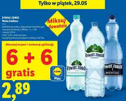 Lidl Żywiec Zdrój Woda źródlana oferta