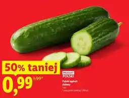 Lidl Polski ogórek zielony oferta