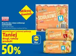 Lidl Wszystkie jaja z chowu ściółkowego Złota Nioska oferta