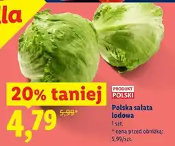 Lidl Polska sałata lodowa oferta