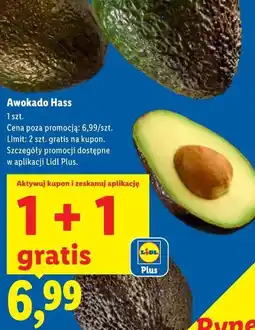 Lidl Awokado Hass oferta
