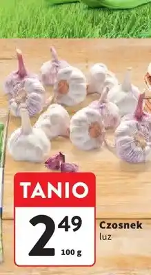 Intermarche Czosnek luz oferta