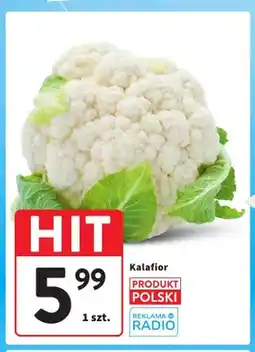 Intermarche Kalafior polski oferta