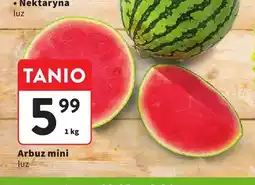Intermarche Arbuz mini luz oferta