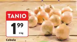 Intermarche Cebula luz oferta