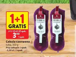Intermarche Cebula czerwona tuba oferta