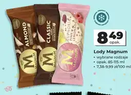 Odido Lody Magnum Almond oferta