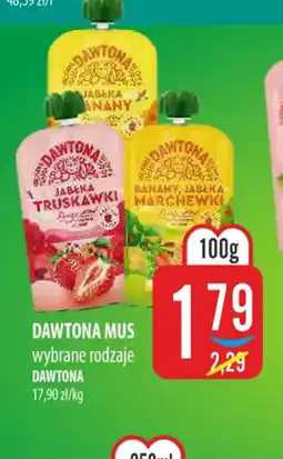 MOKPOL Dawtona Mus oferta